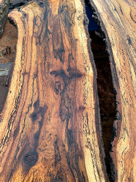 1" Thick Planed Black Oak (Blackjack) Live Edge Slabs for Charcuterie
