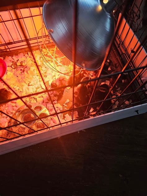 Auberry Funeral Home & Cremation Services | Campbellsville KY