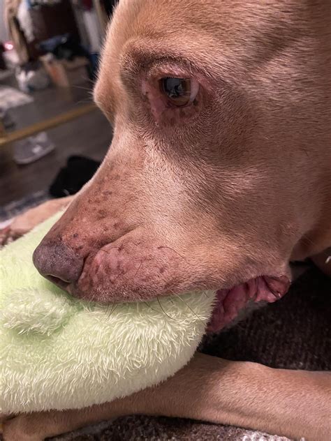 Did I hear it’s ear day? Of course she did, she hears everything with