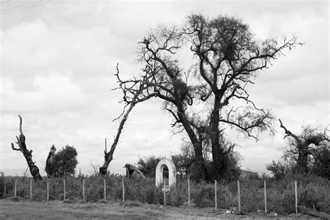 Fotos De Cubanas Desnudas