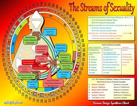 Streams of Sexuality | Human design, Human design system, Human sexuality