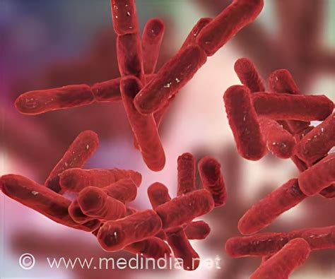 experimental drug helps treat antibiotic resistant bacteria