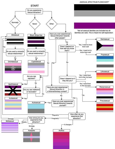 An attempt at a slightly improved flow chart : r/Asexual