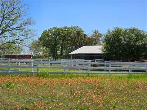 Sammy Thighs on Reels | Facebook