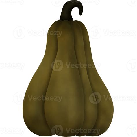 Watercolor Green Autumn Pumpkin. Autumn Decoration. 33489781 PNG