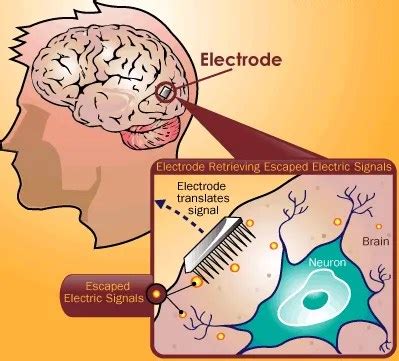 Brain Computer Interface - Krazytech