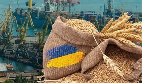 Експорт зерна перевищив 19 млн тонн. Читайте на UKR.NET