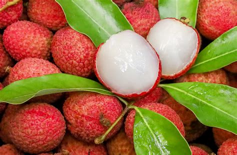 Qué es el lichi » Huerto en casa