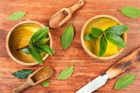 7 Best Bay Leaf Substitutes for Aromatic Cooking - Kitchenous