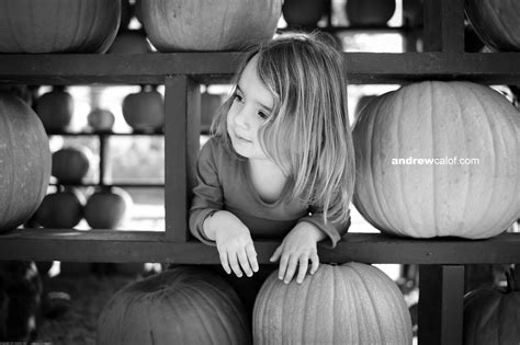 andrewcalof photography: UNDERWOOD FARMS PUMPKIN PATCH