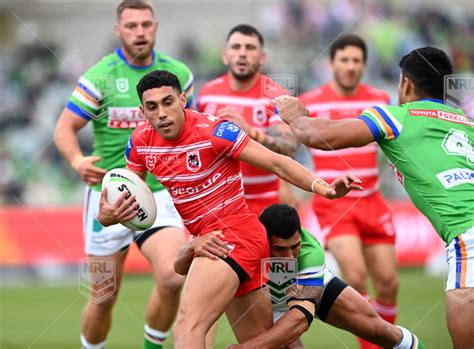 nrl   canberra raiders  st george illawarra dragons tyrell