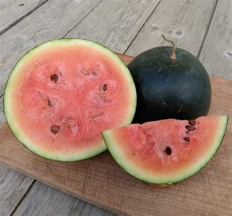 Sugar Baby Watermelon – Yield per plant, Calories (Growing, Caring