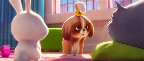 'The Secret Life Of Pets 2' Trailer: Meet Tiffany Haddish's Daisy, Who's Holding Out For A Hero