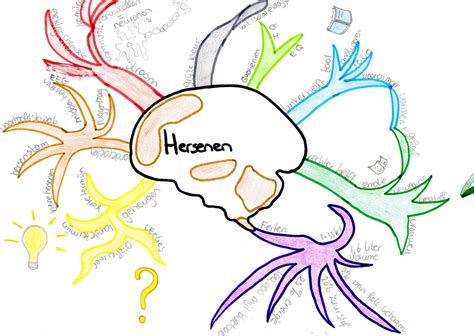 hersenen  actie mindmap hersenen