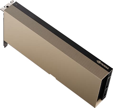 pny nvidia  gb inetse