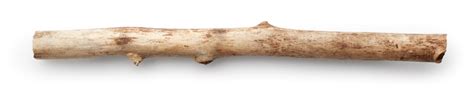 1,859,434 BEST Stick IMAGES, STOCK PHOTOS & VECTORS | Adobe Stock