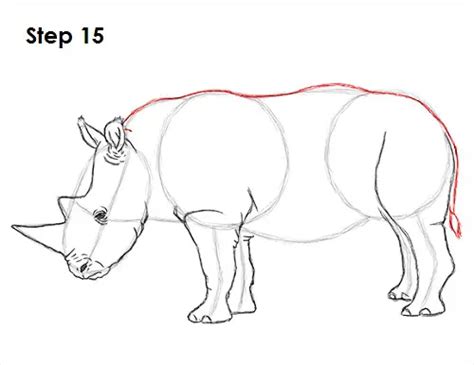 5 Simple Steps To Tame The Mighty Rhinoceros In Your Sketchbook
