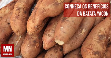 Batata Yacon Para Emagrecer