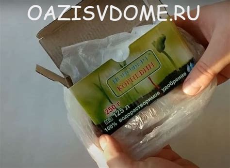 Jak správně zředit Kornevin pro zalévání?