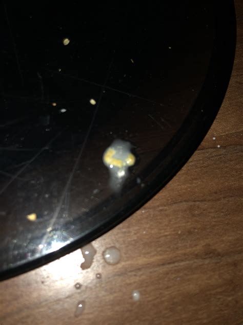 is it normal bird weak easily 9