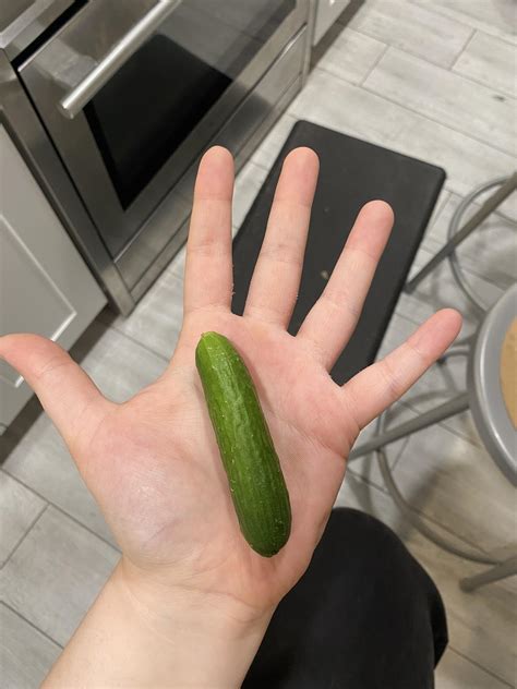 Is the Swaggy Cucumber Leak REAL? Experts Weigh In! - kbao7yj