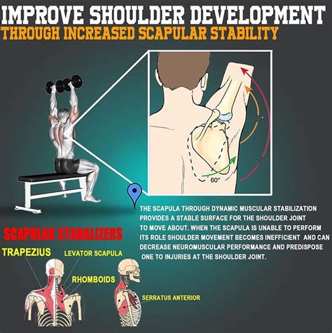 IMPROVE SHOULDER DEVELOPMENT