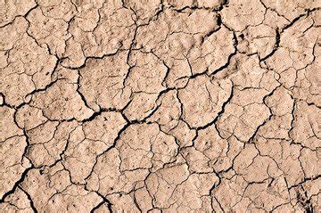 dry mud 1 Free Stock Photo | FreeImages