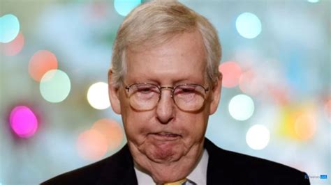 Who is Mitch Mcconnell Wife? Know Everything About Mitch Mcconnell - Comprehensive English ...