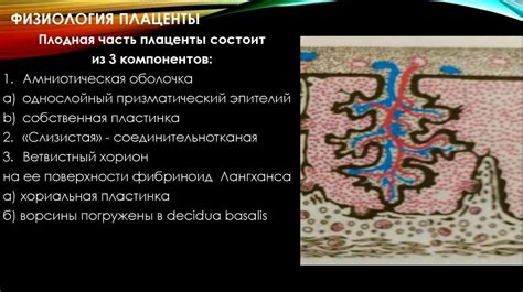 Плацентарная недостаточность - презентация онлайн