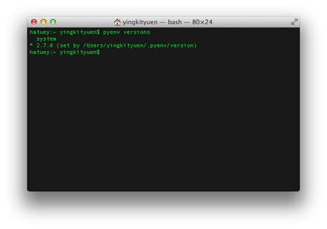 pyenv – Python version manager | Eureka!