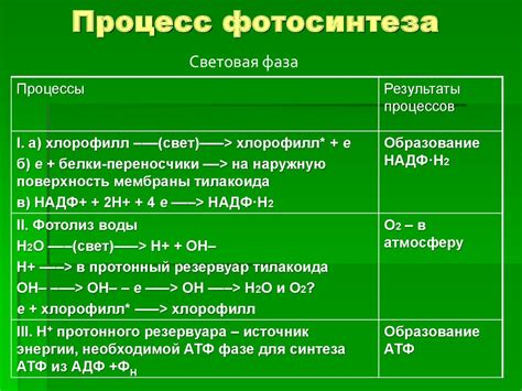 Фотосинтез. История открытия - презентация онлайн