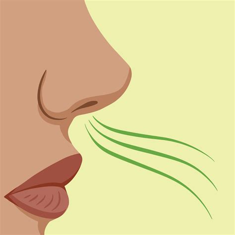 Women face from side, smelling something bad. Foul smell vector ...