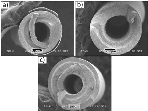 Scanning electron microscopic micrographs of cross-section view of ...