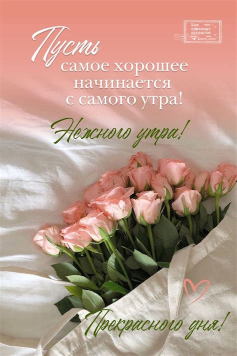 Пин от пользователя Kozlovtceva на доске Доброе утро | Цитаты для ...