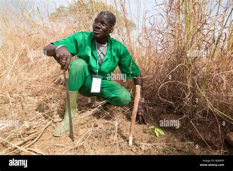 Forest soil erosion hi-res stock photography and images - Alamy