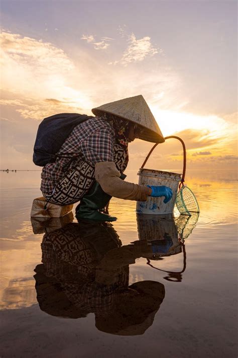 Ghim của Vân Mai trên Sinh hoạt trong 2025 | Việt nam, Viết