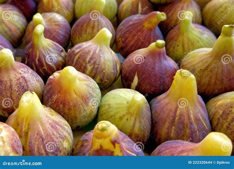 organic fresh figs close   sale   local market stock photo