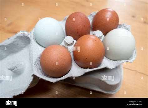 egss  box  res stock photography  images alamy