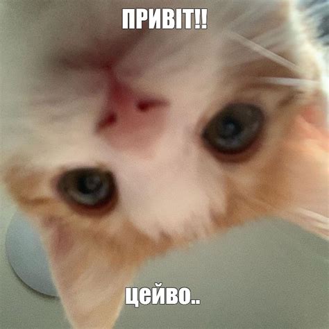 Мем: "ПРИВІТ!! цейво.." - Все шаблоны - Meme-arsenal.com