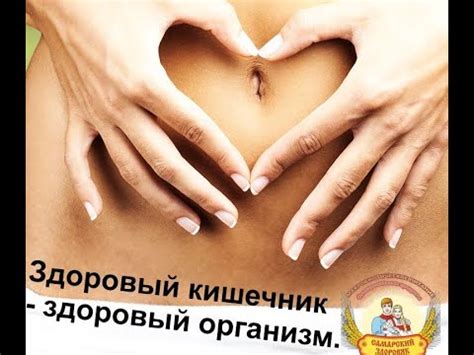 Здоровый кишечник - здоровый организм. - YouTube