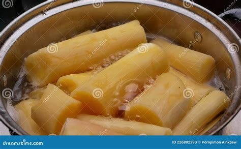 Boiled Cassava in Boiling Water with Sugar To Making Thai Dessert ...