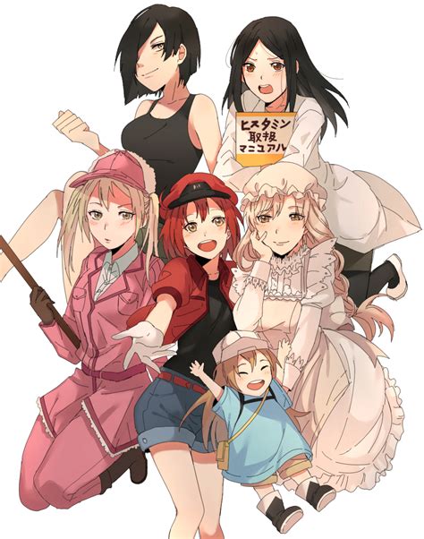 Hataraku Saibou (Cells At Work!) Image by Matchi 5O3 #2383147 ...