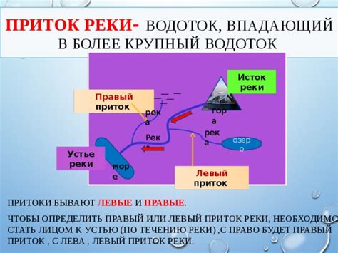 Презентация по географии "Реки" (6 класс)