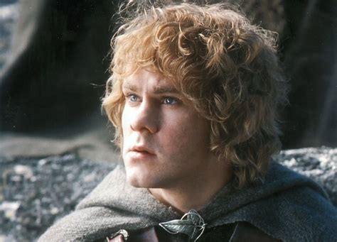 Lotr Merry Brandybuck 4