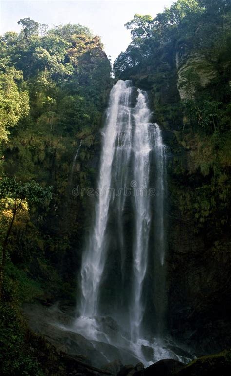 hebbe falls  kemmangundi  karnataka india stock image image