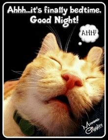good night funny gifs tenor