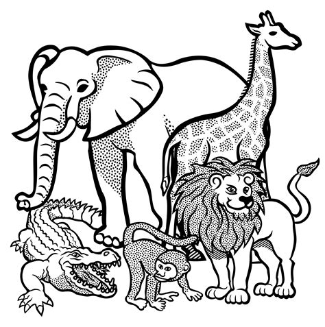 African Animal Drawing at GetDrawings | Free download