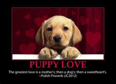 Puppy Love Quotes. QuotesGram