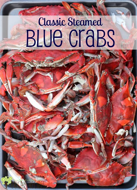 Classic Steamed Blue Crabs | Recipe | Blue crab recipes, Crab recipes