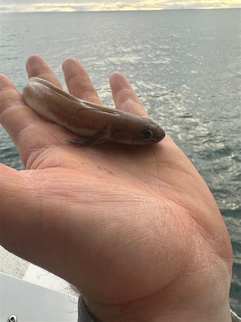 I’d of this one please | Facebook